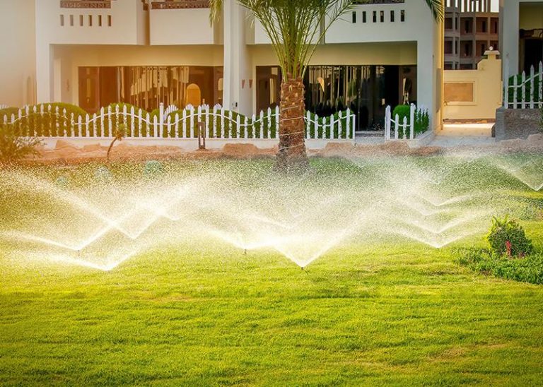 How Efficient Irrigation Systems Save Money and Conserve Water